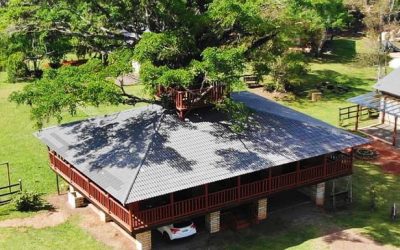 Pousada Equilíbrio dos Canyons: Hospede-se na maior Casa na Árvore do Brasil